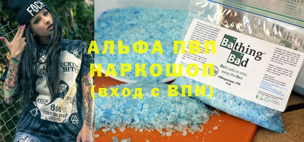 PSILOCYBIN Инта