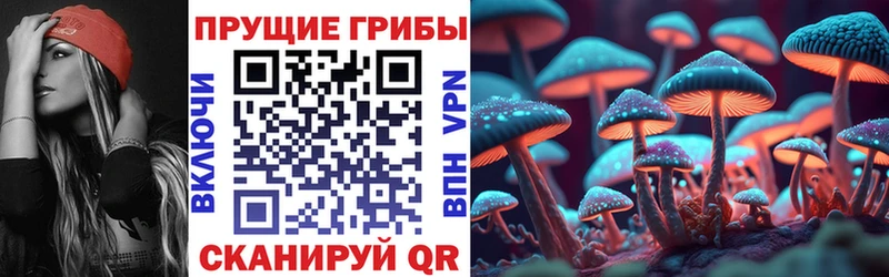 Галлюциногенные грибы мицелий  Пошехонье 