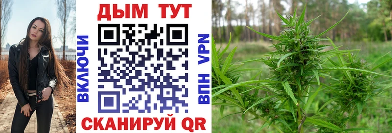 Канабис тримм  Пошехонье 